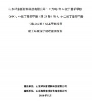 山東祥東新材料科技有限公司1.2萬(wàn)噸/年6-叔丁基鄰甲(60K)、4-叔丁基鄰甲酚(偏 24 酚)和 4，6-二叔丁基鄰甲酚(偏 246 酚)烷基甲酚項(xiàng)目竣工環(huán)境保護(hù)驗(yàn)收監(jiān)測(cè)報(bào)告